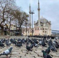 Земетресение друсна призрачно празния Истанбул Земетресение друсна призрачно празния Истанбул