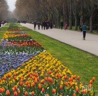 Одрусаха с 600 лева семейство от Бургас, извело кучето си на разходка в Морската градина