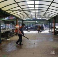 Кооперативният пазар в Дупница възобновява работата си