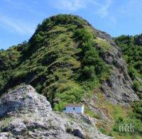 СКАНДАЛНО: Огън и гола сеч в гората край Върховръх (ВИДЕО)