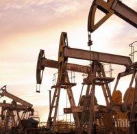 Министрите на енергетиката на страните от Г-20 се договориха а стабилност в цените на петрола