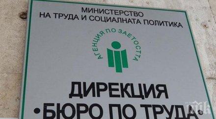 агенцията заетостта разкрива временни офиси големите градове