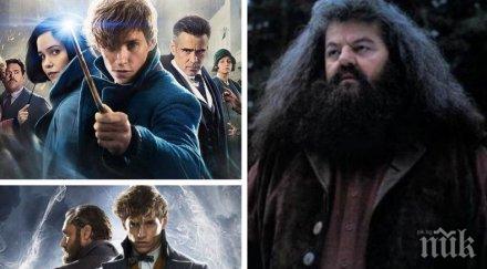 проект филма фантастичните животни появят герои поредицата хари потър