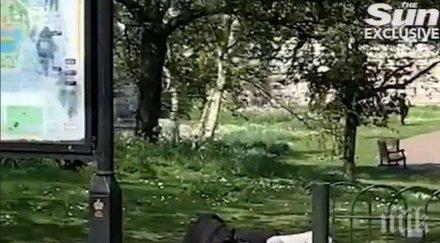 шок бъкингам загорели британци чифтосаха прозорците кралица елизабет видео