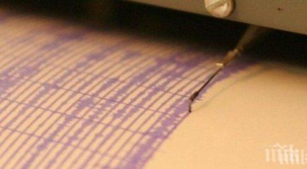 земетресение магнитуд рихтер било регистрирано бреговете нова зеландия