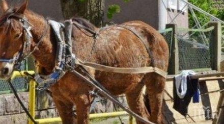 мъж загина инцидент каруца лом