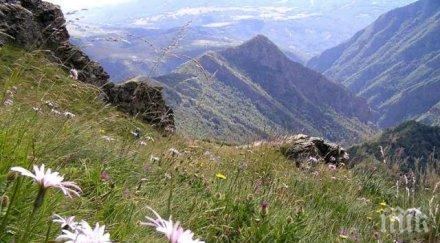 безплатно мобилно приложение ориентира посетителите парк централен балкан