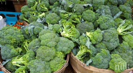 става скопие кило броколи излиза 650 евро скъпи агнешкото
