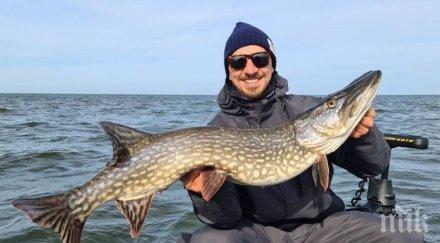 златан ибрахимович улови грамадна щука пощади живота