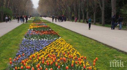 одрусаха 600 лева семейство бургас извело кучето разходка морската градина