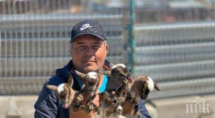 бейби бум бургаския зоопарк