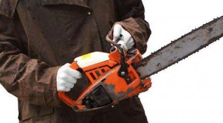 пиян обезобрази племенницата моторна резачка