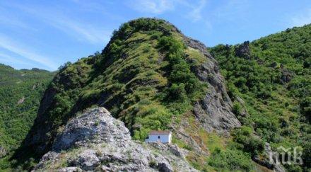 скандално огън гола сеч гората върховръх видео