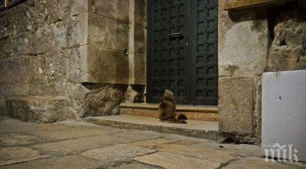 разлика българия година божи гроб службата без миряни