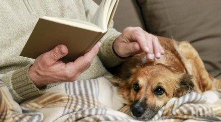 трогателно италианската полиция достави кученце подарък внук изолираната баба