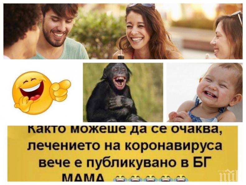 АНТИВИРУСНА РУБРИКА. На Великден щабът ще съобщи: 30 заразени, 2-ма починали и 1 възкръснал - вицове от карантината