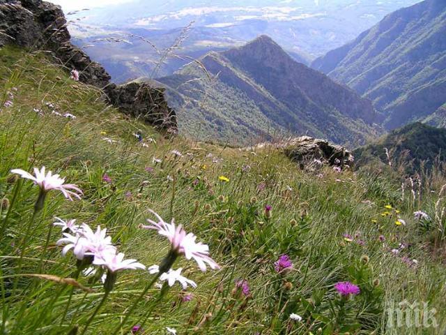 Безплатно мобилно приложение ориентира посетителите на парк Централен Балкан