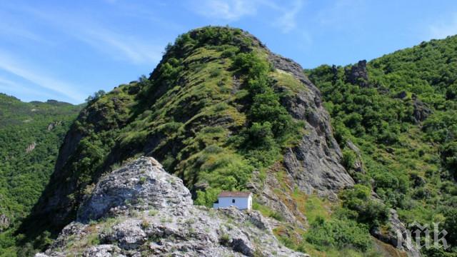 СКАНДАЛНО: Огън и гола сеч в гората край Върховръх (ВИДЕО)