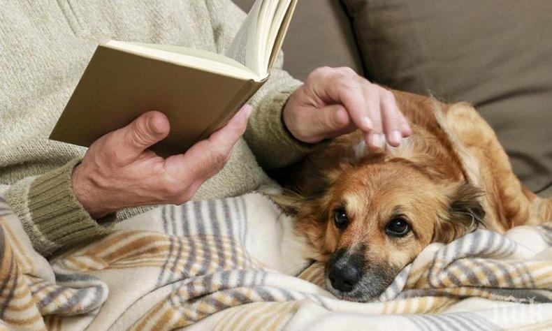 ТРОГАТЕЛНО: Италианската полиция достави кученце, подарък от внук за изолираната му баба