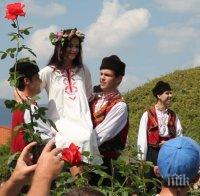 Избират онлайн казанлъшката Царица Роза