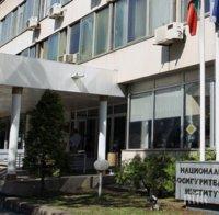 Разкриха фалшиви болнични за 6,5 мил. лева, НОИ си иска сумите