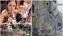 Учени обявиха: Прилепи виновни за върлуващата смърт по света