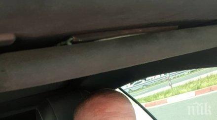 динко раздава 000 яйца