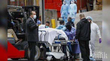 йорк жертвите надхвърлиха 000 смогват статистиката