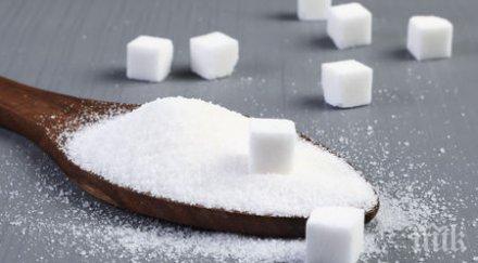 руски диетолог захарта вредният продукт света