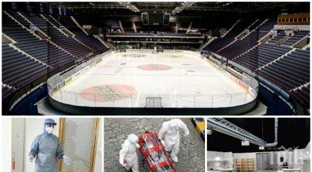 смразяващо планина трупове задръсти стокхолм съхраняват умрелите коронавируса складират хокейна зала