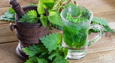 тотален шок копривата удари лева кило