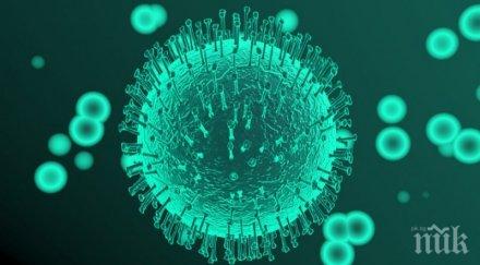 австрия вдига ограниченията масовите събития