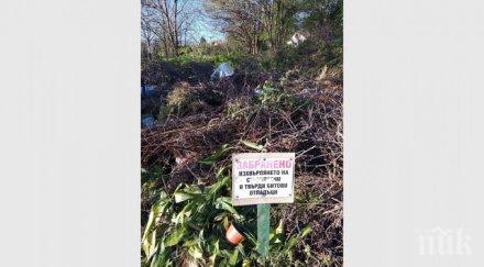 бунища никнат гъби родопската яка