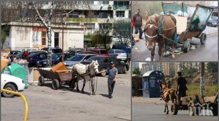 патриотите столичния общински съвет искат забрана каруците строг контрол гетата