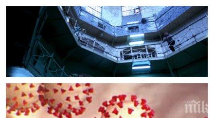 затворите полша ушиха милион маски