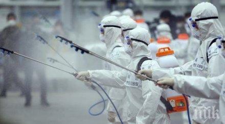 броят заразените коронавирусната инфекция южна корея премина 600 души