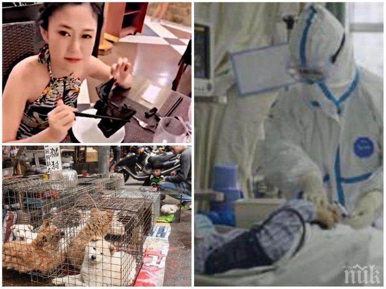 Учени обявиха: Прилепи виновни за върлуващата смърт по света