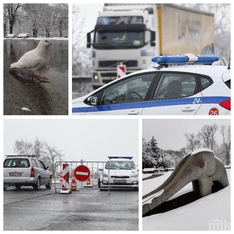 ЕКШЪН: Моторист изблъска с крак полицай на КПП край Габрово, осакати го