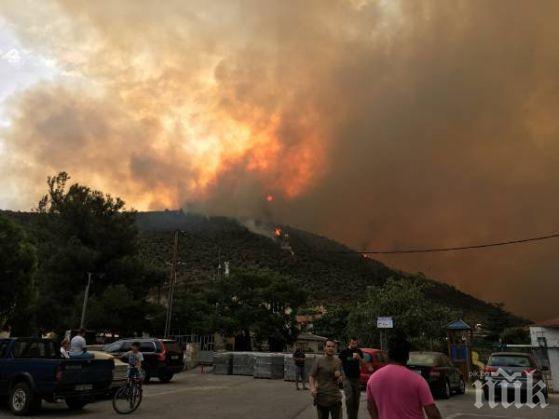 Откриха поожароопасния сезон за горите в Пловдивско