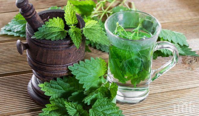 Тази пролетна билка е дар от природата и прави чудеса с тялото