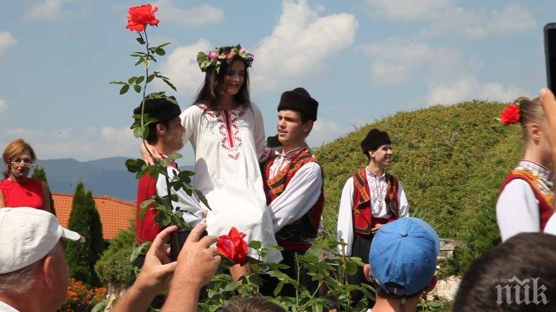 Избират онлайн казанлъшката Царица Роза