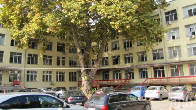 12 учителки дариха пари за болницата в Пазарджик