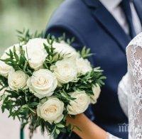 Чехия разреши организирането на малки сватби