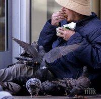 ООН: Гладуващите по света могат да се удвоят заради пандемията COVID-19