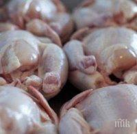 БАБХ спипа птиче месо от Полша за България, замърсено със салмонела