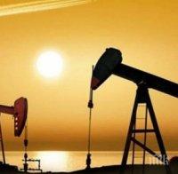 Историческо: Отрицателна цена на петрола