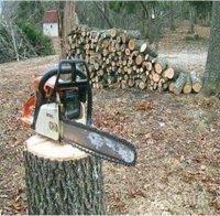 Проверяват масово за незаконен дърводобив в страната