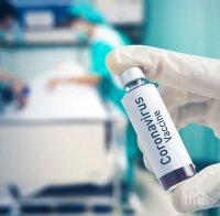 Учени от Оксфорд започват работа върху ваксина срещу коронавирус