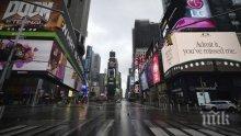 В Ню Йорк сключват бракове чрез видеовръзка