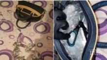 АКЦИЯ В "СТОЛИПИНОВО": Задържаха Рашко Топалов - Гардияна с дизайнерска дрога "бонзай"